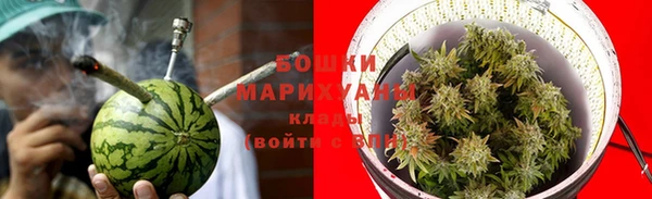 PSILOCYBIN Вяземский