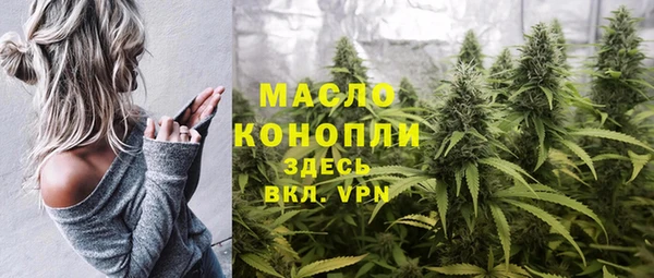 PSILOCYBIN Вяземский