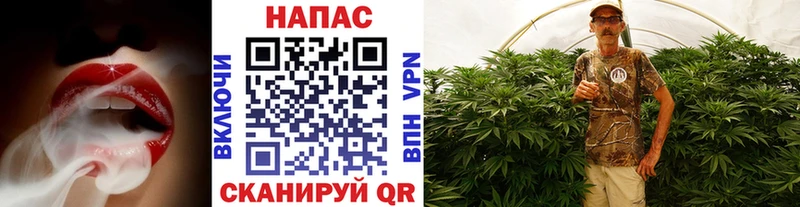 Каннабис гибрид Джанкой